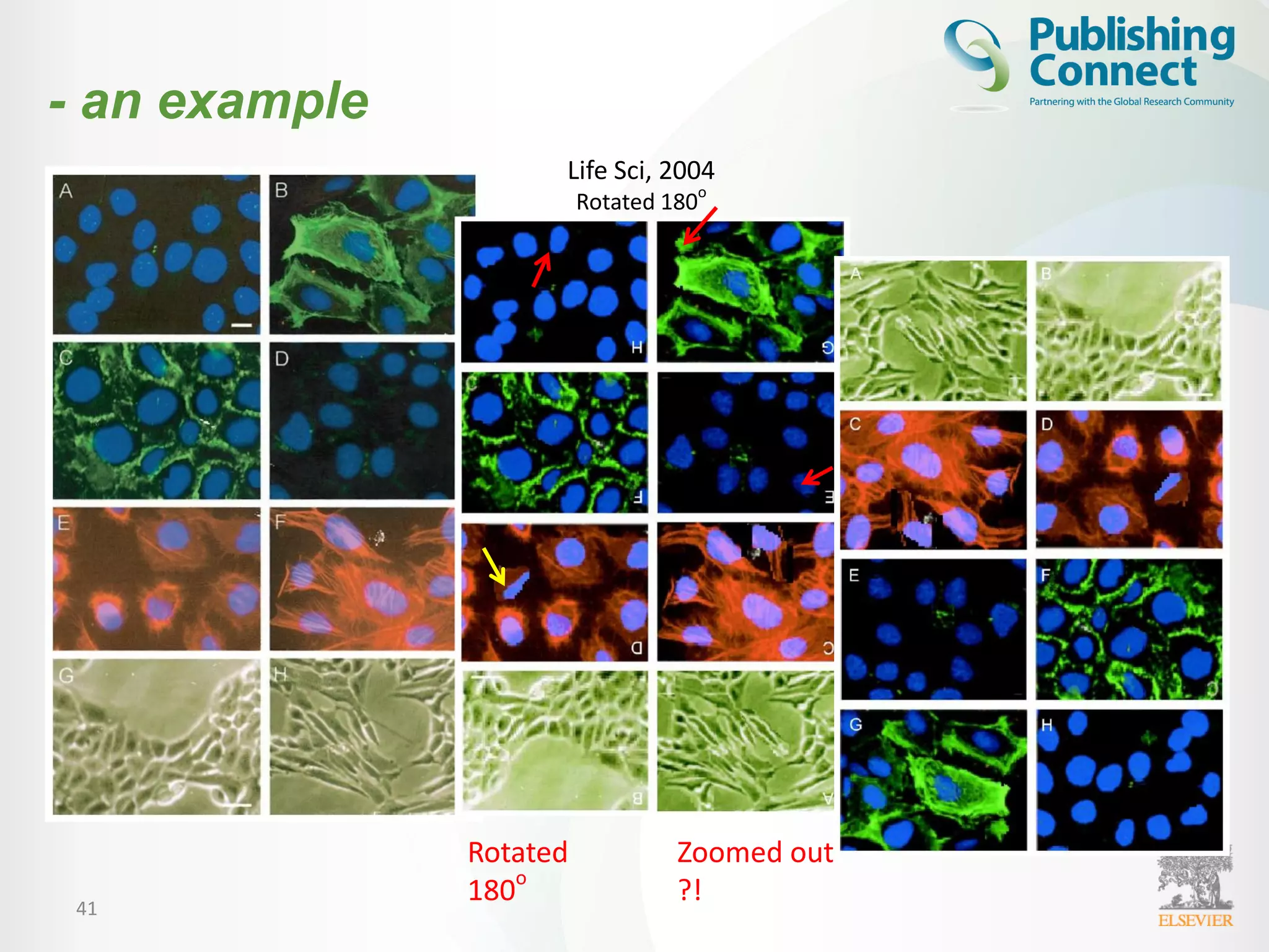 41
Life Sci, 2004
Rotated 180o
Rotated
180
o
Zoomed out
?!
- an example
 