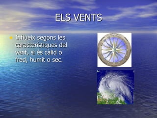 ELS VENTS Influeix segons les característiques del vent, si és càlid o fred, humit o sec.   