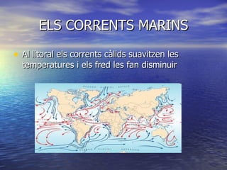 ELS CORRENTS MARINS Al litoral els corrents càlids suavitzen les temperatures i els fred les fan disminuir   