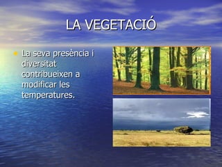LA VEGETACIÓ La seva presència i diversitat contribueixen a modificar les temperatures.   