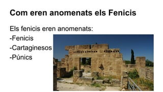 Com eren anomenats els Fenicis
Els fenicis eren anomenats:
-Fenicis
-Cartaginesos
-Púnics
 