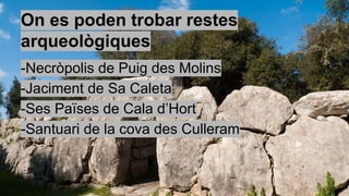 On es poden trobar restes
arqueològiques
-Necròpolis de Puig des Molins
-Jaciment de Sa Caleta
-Ses Païses de Cala d’Hort
-Santuari de la cova des Culleram
 
