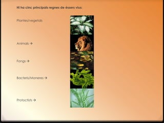 Hi ha cinc principals regnes de éssers vius:



Plantes/vegetals




Animals 




Fongs 




Bacteris/Moneres 




Protoctists 
 