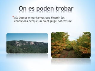 *Als boscos o muntanyes que tinguin les 
condicions perquè un bolet pugui sobreviure 
 