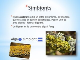 * 
*Viuen associats amb un altre organisme, de manera 
que tots dos en surten beneficiats. Poden unir-se 
amb algues i formar líquens. 
*Un liquen és la unió entre alga i fong. 
Alga simbiont 
 