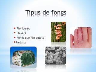  Floridures 
 Llevats 
 Fongs que fan bolets 
Paràsits 
 
