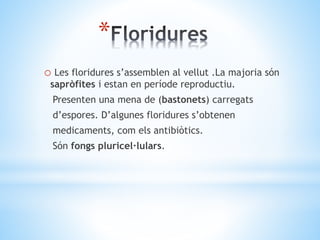* 
o Les floridures s’assemblen al vellut .La majoria són 
sapròfites i estan en període reproductiu. 
Presenten una mena de (bastonets) carregats 
d’espores. D’algunes floridures s’obtenen 
medicaments, com els antibiòtics. 
Són fongs pluricel·lulars. 
 