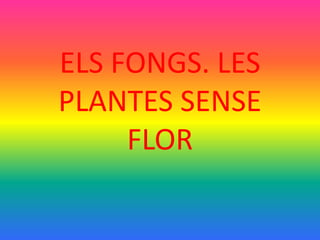 ELS FONGS. LES
PLANTES SENSE
FLOR
 