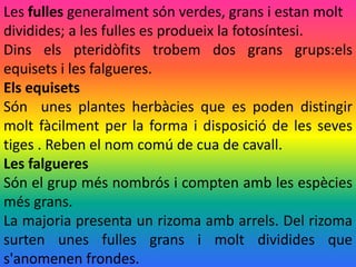 Les fulles generalment són verdes, grans i estan molt
dividides; a les fulles es produeix la fotosíntesi.
Dins els pteridòfits trobem dos grans grups:els
equisets i les falgueres.
Els equisets
Són unes plantes herbàcies que es poden distingir
molt fàcilment per la forma i disposició de les seves
tiges . Reben el nom comú de cua de cavall.
Les falgueres
Són el grup més nombrós i compten amb les espècies
més grans.
La majoria presenta un rizoma amb arrels. Del rizoma
surten unes fulles grans i molt dividides que
s'anomenen frondes.
 