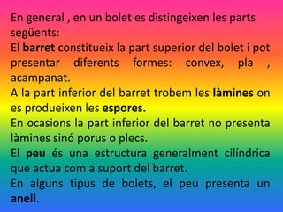 En general , en un bolet es distingeixen les parts
següents:
El barret constitueix la part superior del bolet i pot
presentar diferents formes: convex, pla ,
acampanat.
A la part inferior del barret trobem les làmines on
es produeixen les espores.
En ocasions la part inferior del barret no presenta
làmines sinó porus o plecs.
El peu és una estructura generalment cilíndrica
que actua com a suport del barret.
En alguns tipus de bolets, el peu presenta un
anell.
 