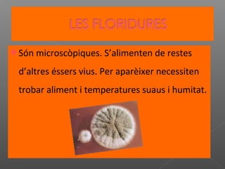  Són microscòpiques. S’alimenten de restes

d’altres éssers vius. Per aparèixer necessiten
trobar aliment i temperatures suaus i humitat.

 