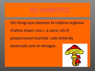 

Són fongs que obtenen la matèria orgànica
d'altres éssers vius i, a canvi, els hi
proporcionen humitat i sals minerals
essencials com el nitrogen.

 