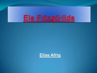 Elias Afrig
 
