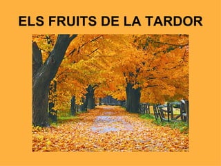 ELS FRUITS DE LA TARDOR 