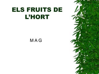 ELS FRUITS DE
L’HORT
M A G
 
