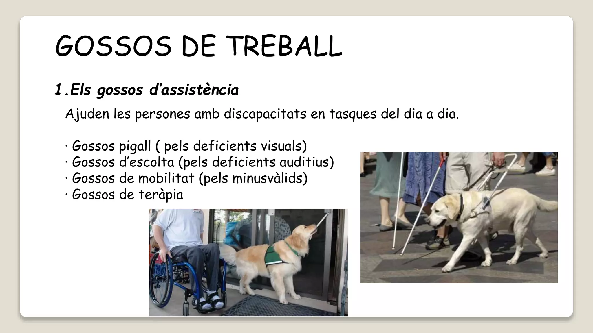 Els Gossos PPTX els-gossos-pptx