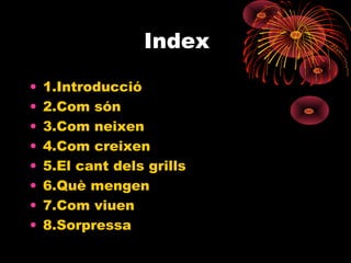 Index
•
•
•
•
•
•
•
•

1.Introducció
2.Com són
3.Com neixen
4.Com creixen
5.El cant dels grills
6.Què mengen
7.Com viuen
8.Sorpressa

 