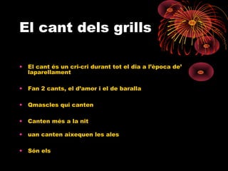 El cant dels grills
•

El cant és un cri-cri durant tot el dia a l’època de’
laparellament

•

Fan 2 cants, el d’amor i el de baralla

•

Qmascles qui canten

•

Canten més a la nit

•

uan canten aixequen les ales

•

Són els

 