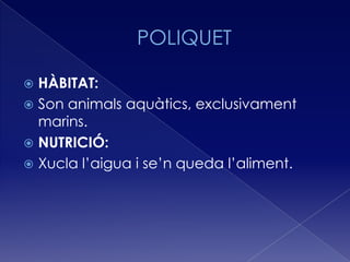  HÀBITAT:
 Son animals aquàtics, exclusivament
  marins.
 NUTRICIÓ:
 Xucla l’aigua i se’n queda l’aliment.
 