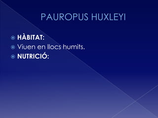  HÀBITAT:
 Viuen en llocs humits.
 NUTRICIÓ:
 
