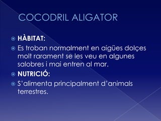  HÀBITAT:
 Es troban normalment en aigües dolçes
  molt rarament se les veu en algunes
  salobres i mai entren al mar.
 NUTRICIÓ:
 S’alimenta principalment d’animals
  terrestres.
 