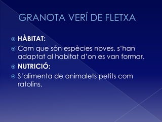  HÀBITAT:
 Com que són espècies noves, s’han
  adaptat al habitat d’on es van formar.
 NUTRICIÓ:
 S’alimenta de animalets petits com
  ratolins.
 