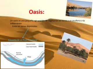 Oasis:
 Un oasis es una pequeña agrupación de vegetación en torno a un acuífero o río
 subterráneo
   Están en zonas deprimidas




Esquema de un Pozo Artesiano
                    Capa permeable
                    Capa impermeable



       Nivel de
       saturación
                     Pozo
 