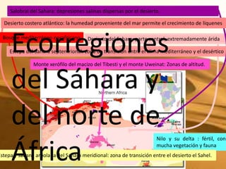 Salobral del Sahara: depresiones salinas dispersas por el desierto.

  Desierto costero atlántico: la humedad proveniente del mar permite el crecimiento de líquenes



     Ecorregiones
  Bosque mediterráneo norafricano      Desierto del Sahara: parte central, extremadamente árida

     Estepa del Sahara septentrional: zona de transición entre el clima mediterráneo y el desértico

               Monte xerófilo del macizo del Tibesti y el monte Uweinat: Zonas de altitud.


     del Sáhara y
     del norte de
                                                                      Nilo y su delta : fértil, con


     África                                                           mucha vegetación y fauna
Estepa y sabana arbolada del Sahara meridional: zona de transición entre el desierto el Sahel.
 