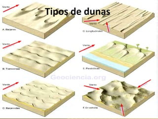 Tipos de dunas
 