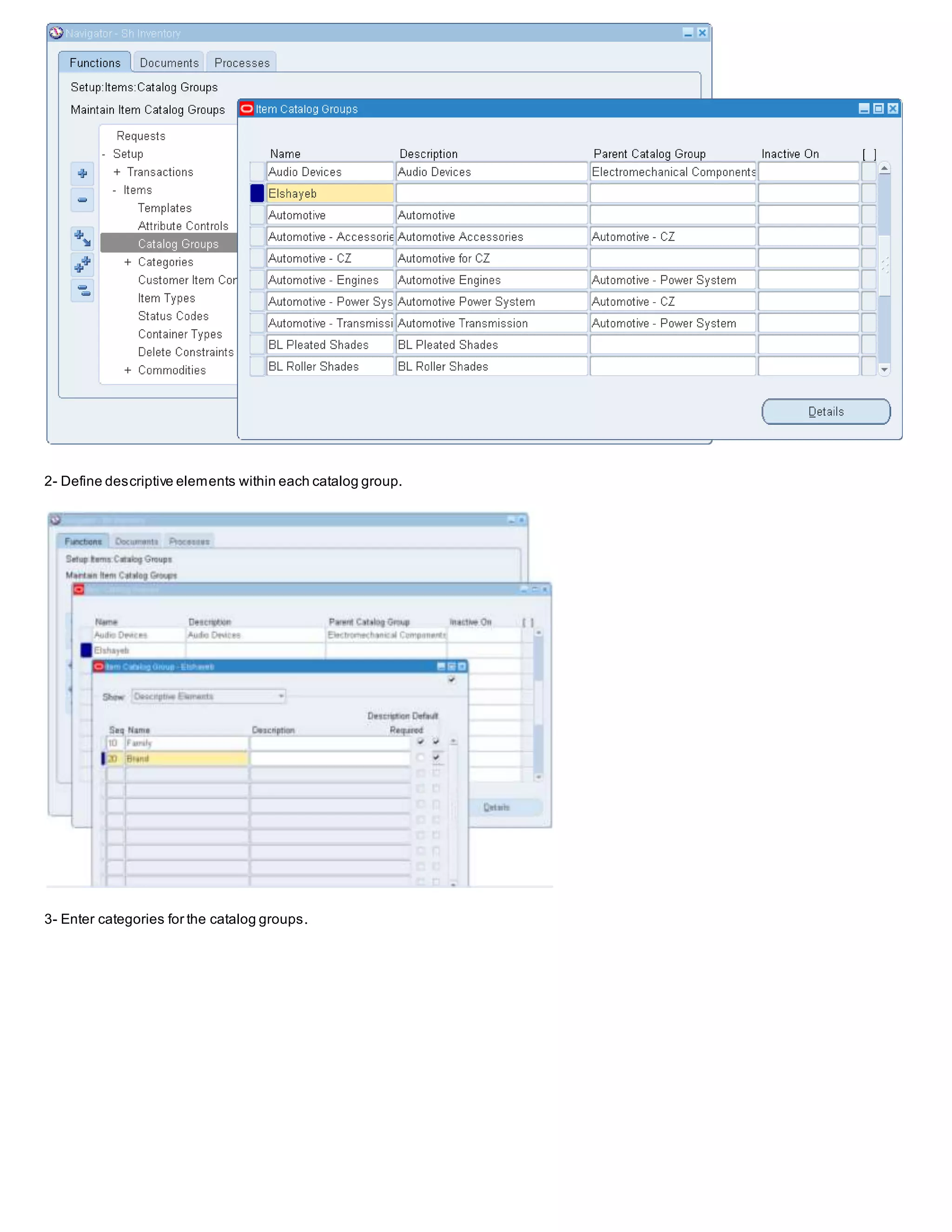 2- Define descriptive elements within each catalog group.
3- Enter categories for the catalog groups.
 