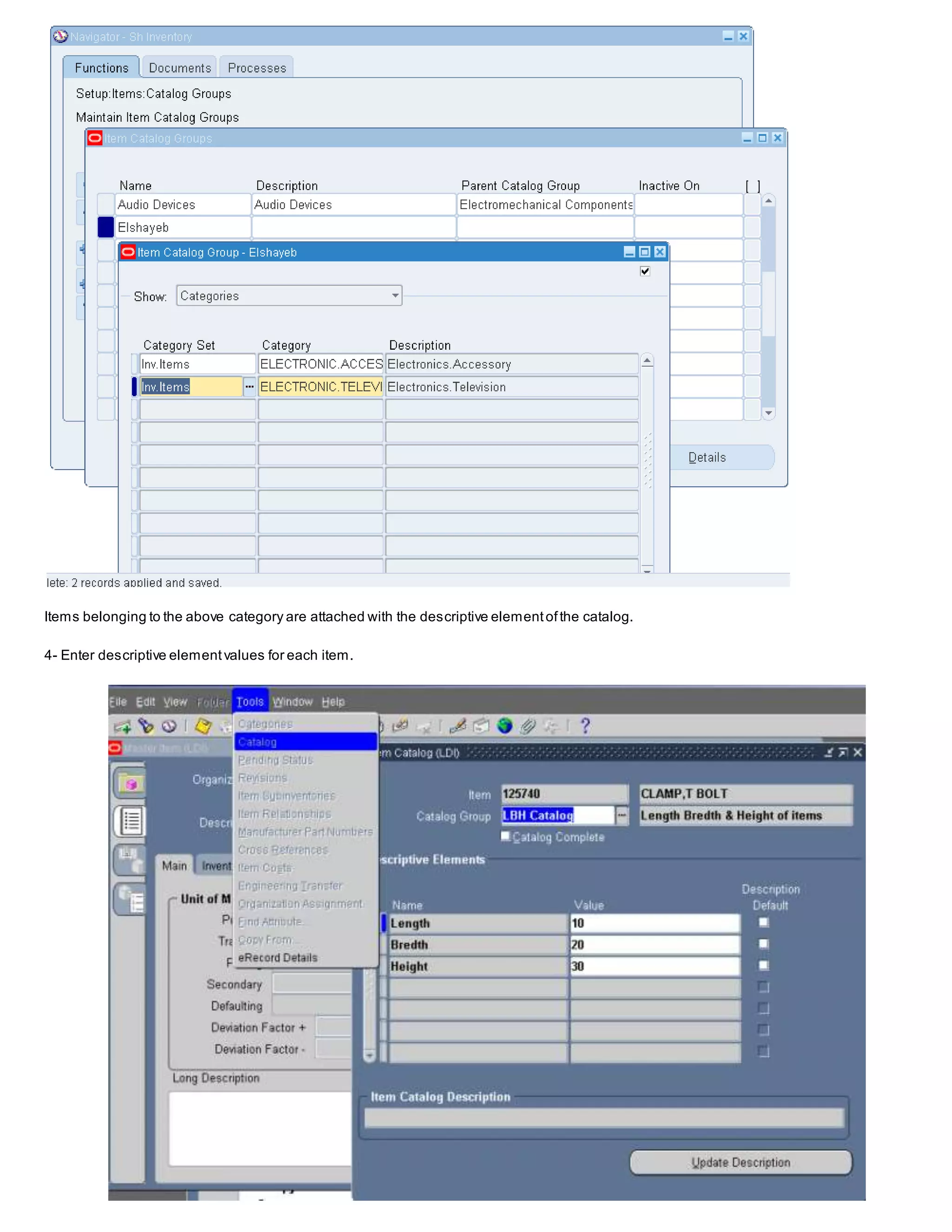 Items belonging to the above category are attached with the descriptive elementofthe catalog.
4- Enter descriptive elementvalues for each item.
 