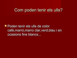 Com poden tenir els ulls?


 Poden tenir els ulls de color
 cafè,marró,marro clar,verd,blau i en
 ocasions fins blancs...
 