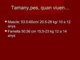 Tamany,pes, quan viuen...

 Mascle: 53.5-60cm/ 20.5-28 kg/ 10 a 12
  anys.
 Famella 50,56 cm 15,5-23 kg 12 a 14
  anys
 