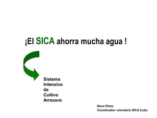 ¡El SICA ahorra mucha agua !



     Sistema
     Intensivo
     de
     Cultivo
     Arrocero
                   Rena Pérez
                   Coordinador voluntario SICA Cuba
 
