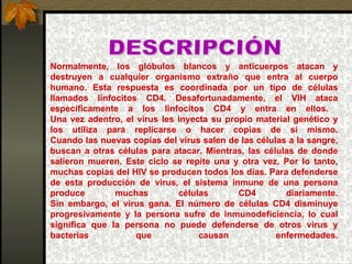 DESCRIPCIÓN Normalmente, los glóbulos blancos y anticuerpos atacan y destruyen a cualquier organismo extraño que entra al cuerpo humano. Esta respuesta es coordinada por un tipo de células llamados linfocitos CD4. Desafortunadamente, el VIH ataca específicamente a los linfocitos CD4 y entra en ellos.  Una vez adentro, el virus les inyecta su propio material genético y los utiliza para replicarse o hacer copias de sí mismo. Cuando las nuevas copias del virus salen de las células a la sangre, buscan a otras células para atacar. Mientras, las células de donde salieron mueren. Este ciclo se repite una y otra vez. Por lo tanto, muchas copias del HIV se producen todos los días. Para defenderse de esta producción de virus, el sistema inmune de una persona produce muchas células CD4 diariamente. Sin embargo, el virus gana. El número de células CD4 disminuye progresivamente y la persona sufre de inmunodeficiencia, lo cual significa que la persona no puede defenderse de otros virus y bacterias que causan enfermedades. 