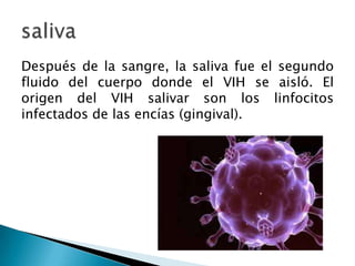 Después de la sangre, la saliva fue el segundo
fluido del cuerpo donde el VIH se aisló. El
origen del VIH salivar son los linfocitos
infectados de las encías (gingival).
 