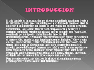 El sida consiste en la incapacidad del sistema inmunitario para hacer frente a
las infecciones y otros procesos patológicos, y se desarrolla cuando el nivel de
Linfocitos T CD4 desciende por debajo de 200 células por mililitro de sangre.
Normalmente, los glóbulos blancos y anticuerpos atacan y destruyen a
cualquier organismo extraño que entra al cuerpo humano. Esta respuesta es
coordinada por un tipo de células llamados linfocitos CD4.
Desafortunadamente, el VIH ataca específicamente a las células que expresan
el receptor CD4, una de las más importantes son los linfocitos T CD4+ y entra
en ellos. Una vez dentro, el virus transforma su material genético de cadena
simple (ARN) a uno de cadena doble (ADN) para incorporarlo al material
genético propio del huésped (persona infectada) y lo utiliza para replicarse o
hacer copias de sí mismo. Cuando las nuevas copias del virus salen de las
células a la sangre, buscan a otras células para atacar. Mientras, las células
de donde salieron mueren. Este ciclo se repite una y otra vez.
Para defenderse de esta producción de virus, el sistema inmune de una
persona produce muchas células CD4 diariamente.
 