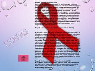 Etapa 1: Infección aguda por el VIH
Dentro de las 2 a 4 semanas después de la infección por el VIH, las
personas pueden sentirse enfermas como si tuvieran la influenza (gripe)
y esto puede durar algunas semanas. Esta es la respuesta natural del
cuerpo a la infección. Cuando una persona tiene una infección aguda
por el VIH, tiene una gran cantidad de virus en la sangre y es muy
contagiosa. Pero las personas con infección aguda a menudo no saben
que están infectadas porque podrían no sentirse mal de inmediato o no
sentirse mal para nada. Para saber si una persona tiene una infección
aguda, se debe hacer una prueba de anticuerpos de cuarta generación o
de antígenos, o una prueba de ácido nucleico (NAT, por sus siglas en
inglés). Si cree que ha estado expuesto al VIH a través de las relaciones
sexuales o el consumo de drogas y tiene síntomas similares a los de la
influenza, busque atención médica y solicite una prueba para
diagnosticar la infección aguda.
Etapa 2: Latencia clínica (inactividad o estado latente del VIH)
A esta fase a veces se la llama de infección asintomática por el VIH o de
infección crónica por el VIH. Durante esta fase, el VIH sigue activo, pero
se reproduce a niveles muy bajos, y las personas podrían no tener
ningún síntoma ni sentirse enfermas. En las personas que no están
tomando ningún medicamento para tratar el VIH, esta fase podría durar
una década o más; sin embargo, otras personas pueden pasar más
rápido por esta etapa. Las personas que toman medicamentos para
tratar el VIH (TARV) de la manera correcta, todos los días, pueden estar
en esta etapa por varias décadas. Es importante recordar que todavía se
puede transmitir el VIH durante esta fase, aunque quienes que usan
TARV y mantienen una carga viral inhibida (o sea, que tienen un nivel de
virus muy bajo en la sangre) tienen muchas menos probabilidades de
transmitir el virus que aquellas que no tienen una carga viral inhibida. Al
final de esta etapa, la carga viral comienza a aumentar y el recuento de
células CD4 comienza a bajar. Cuando esto sucede, la persona podría
comenzar a tener síntomas a medida que vayan aumentando los niveles
de virus en su cuerpo, y pasar a la etapa 3.
Etapa 3: Síndrome de inmunodeficiencia adquirida (SIDA)
El SIDA es la etapa más grave de la infección por el VIH. Las personas
con SIDA tienen el sistema inmunitario tan dañado que comienzan a
tener cada vez más enfermedades graves, las cuales se llaman
enfermedades oportunistas.
 