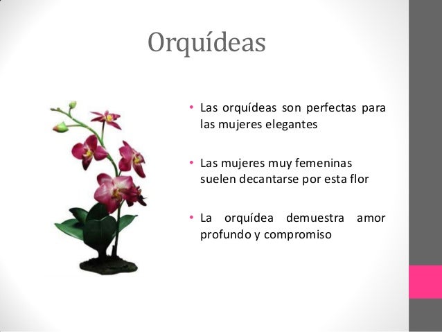 Imagen relacionada