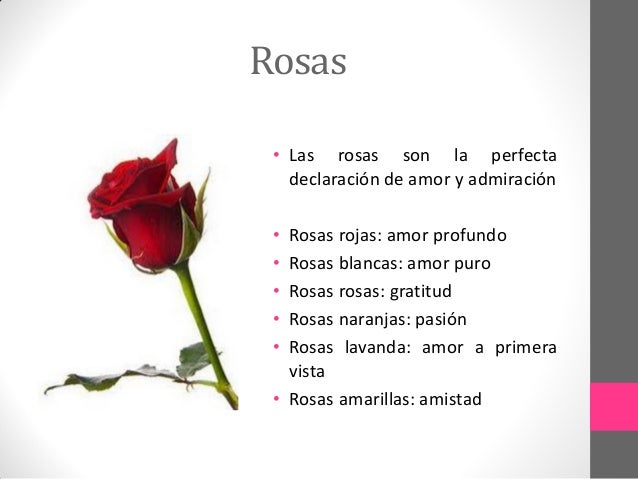 Resultado de imagen para flores significado