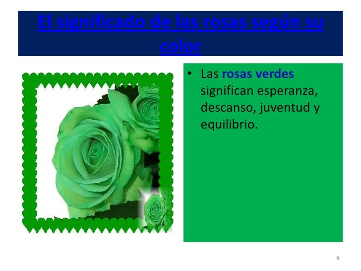 Significado Según Su Color Rosasinfo Significado De Las Rosas Florpediacom