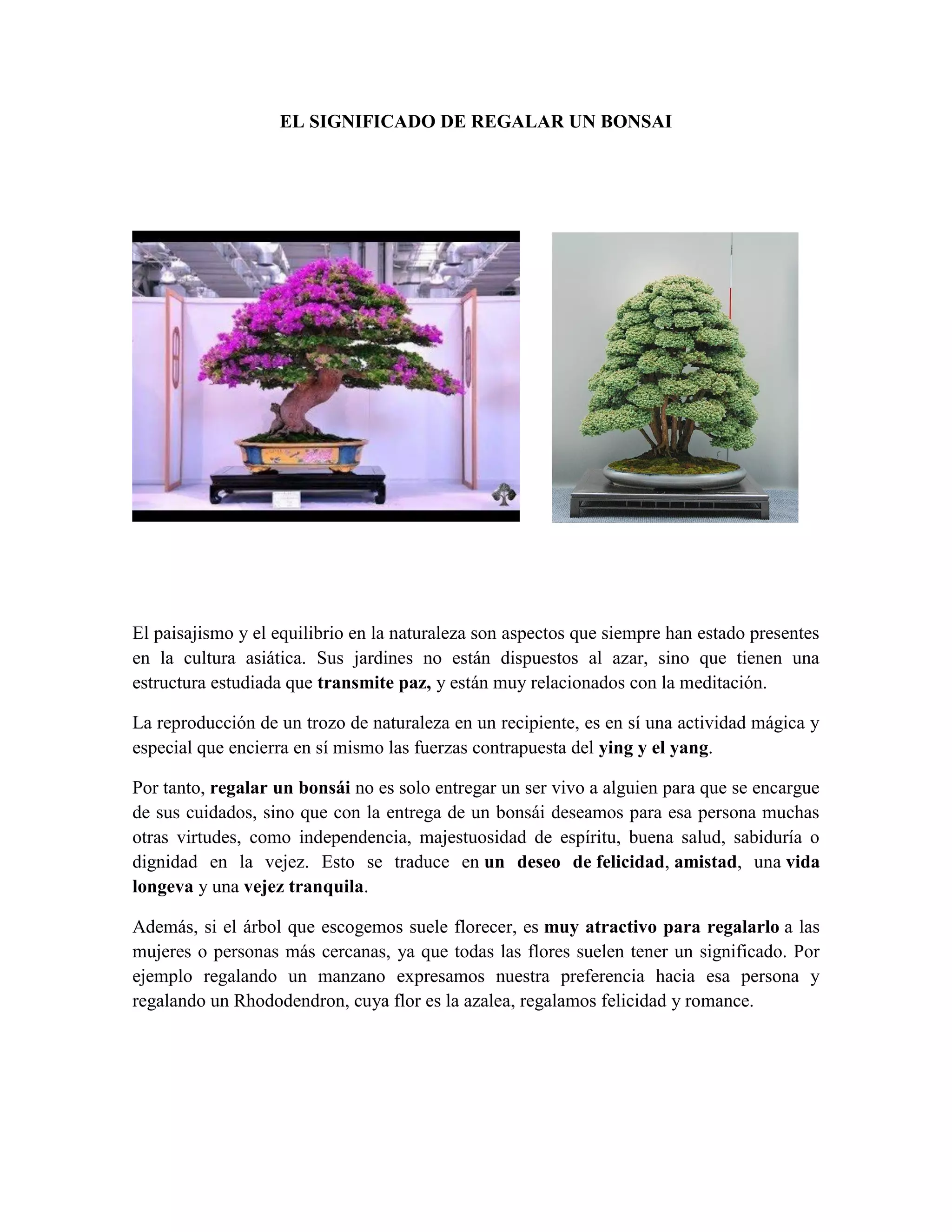 El significado de regalar un bonsai PDF