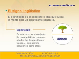  El signo lingüístico
EL SIGNO LINGÜÍSTICOEL SIGNO LINGÜÍSTICO
Significado
En este caso es el conjunto
de características comunes
a todos los árboles (hojas,
tronco…) que permite
agruparlos como clase.
/árbol/
El significado es el concepto o idea que evoca
la mente ante un significante concreto.
COMUNICACIÓN I EDUC.FISICA I
MILLONES/BOLAÑOS/SIXTO/GUARNIZ
 