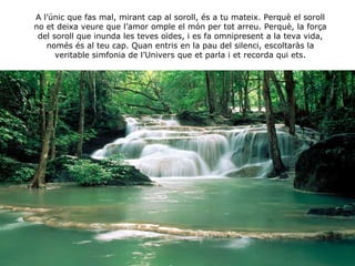 A l’únic que fas mal, mirant cap al soroll, és a tu mateix. Perquè el soroll no et deixa veure que l’amor omple el món per tot arreu. Perquè, la força del soroll que inunda les teves oïdes, i es fa omnipresent a la teva vida, només és al teu cap. Quan entris en la pau del silenci, escoltaràs la veritable simfonia de l’Univers que et parla i et recorda qui ets. 