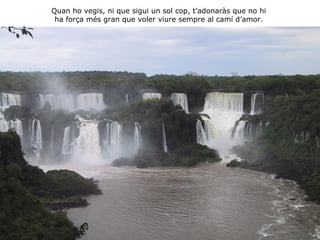 Quan ho vegis, ni que sigui un sol cop, t’adonaràs que no hi ha força més gran que voler viure sempre al camí d’amor. 