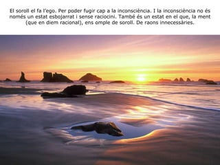 El soroll el fa l’ego. Per poder fugir cap a la inconsciència. I la inconsciència no és només un estat esbojarrat i sense raciocini. També és un estat en el que, la ment (que en diem racional), ens omple de soroll. De raons innecessàries. 