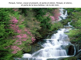 Perquè, l’amor, viscut al present, et porta al silenci. Perquè, el silenci, et parla de la teva bellesa i de la del món.   