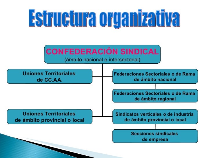 Resultado de imagen para estructura de los sindicatos