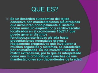 QUE ES?
   Es un desorden autosomico del tejido
    conectivo con manifestaciones pleiotropicas
    que involucran principalmente el sistema
    ocular musculo esquelético y cardiovascular
    localizados en el cromosoma 15q21.1 que
    puede generar distintos
    fenotipos,carateristicas aislada hasta
    presentaciones neonatales graves y
    rápidamente progresivas que involucran a
    muchos organelos y sistemas, se caracteriza
    por animalidades en los microfribillos de la
    matriz extracelular, por lo que es interpretado
    como una microfibrilopatia muchas de sus
    manifestaciones son dependientes de la edad.
 