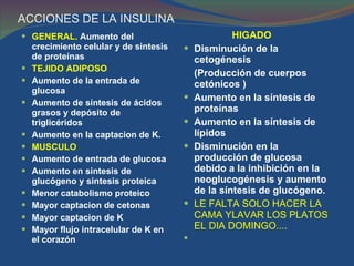 ACCIONES DE LA INSULINA   GENERAL.  Aumento del crecimiento celular y de sintesis de proteínas  TEJIDO ADIPOSO Aumento de la entrada de glucosa Aumento de síntesis de ácidos grasos y depósito de triglicéridos Aumento en la captacion de K. MUSCULO Aumento de entrada de glucosa  Aumento en sintesis de glucógeno y sintesis proteica Menor catabolismo proteico Mayor captacion de cetonas Mayor captacion de K Mayor flujo intracelular de K en el   corazón  HIGADO  Disminución de la cetogénesis (Producción de cuerpos cetónicos )  Aumento en la síntesis de proteínas  Aumento en la síntesis de lípidos  Disminución en la producción de glucosa debido a la inhibición en la neoglucogénesis y aumento de la síntesis de glucógeno.   LE FALTA SOLO HACER LA CAMA YLAVAR LOS PLATOS EL DIA DOMINGO.... 